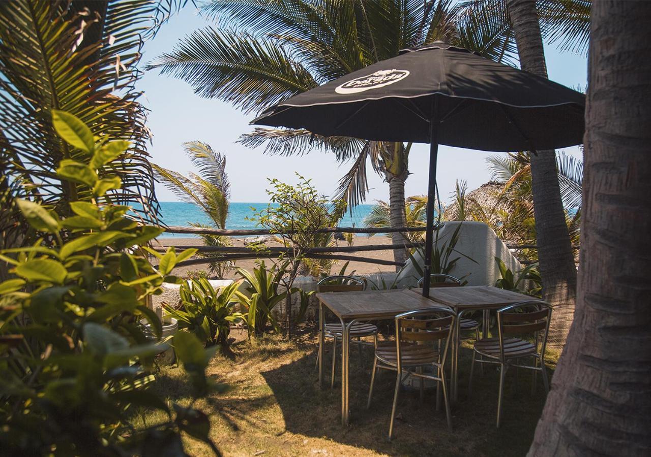 Marbella Eco Lodge 蒙特里科 外观 照片