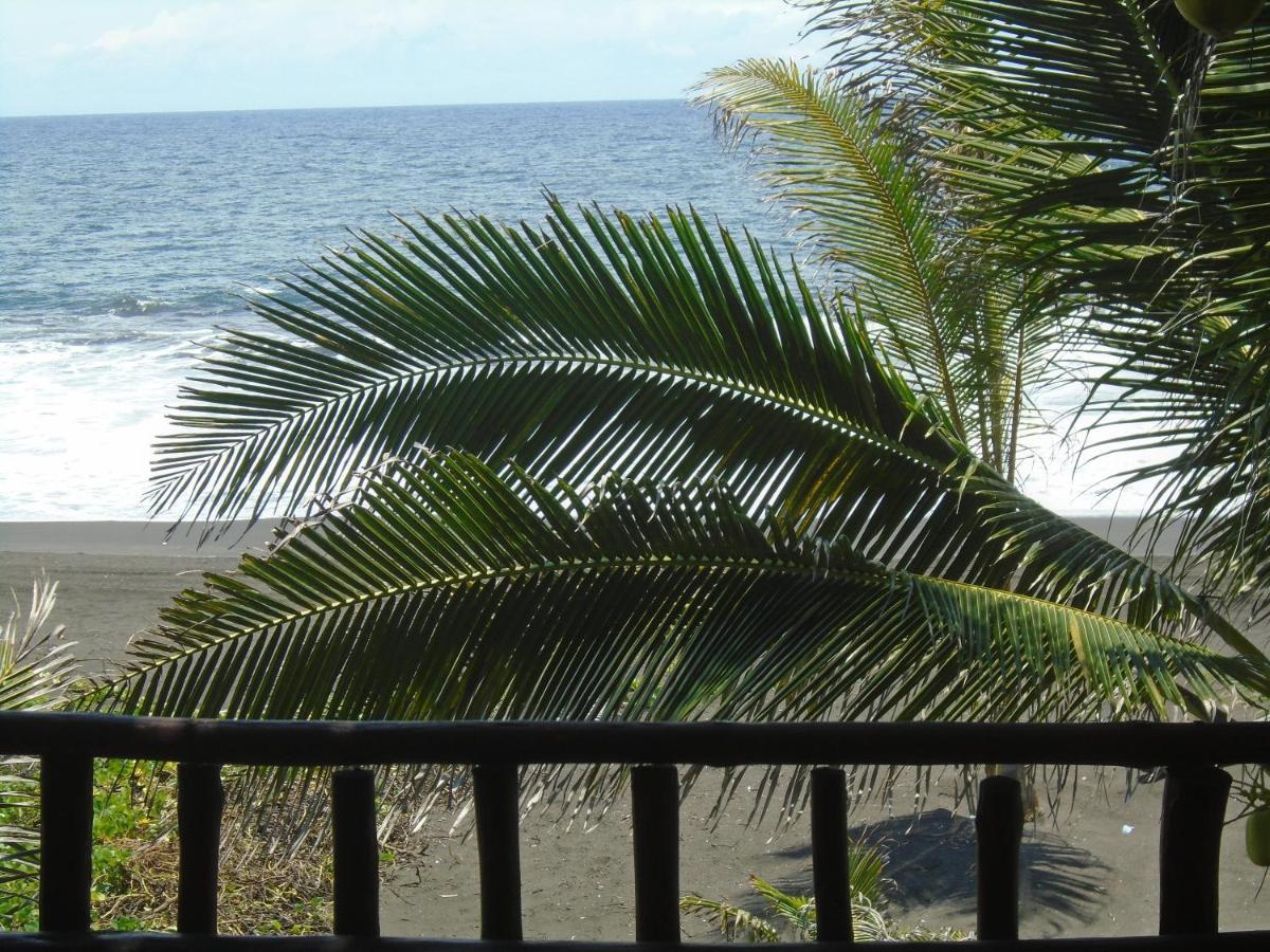 Marbella Eco Lodge 蒙特里科 外观 照片