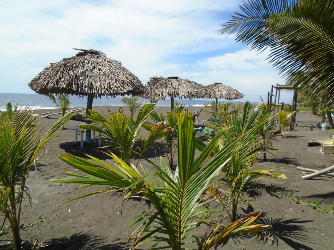 Marbella Eco Lodge 蒙特里科 外观 照片